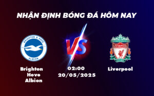 brighton hove albion liverpool 20 05 ngoai hang anh