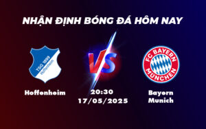 hoffenheim bayern munich 17 05 bundesliga