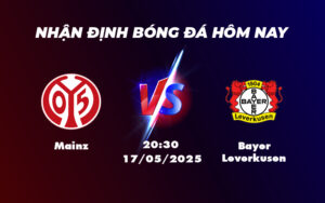 mainz bayer leverkusen 17 05 bundesliga